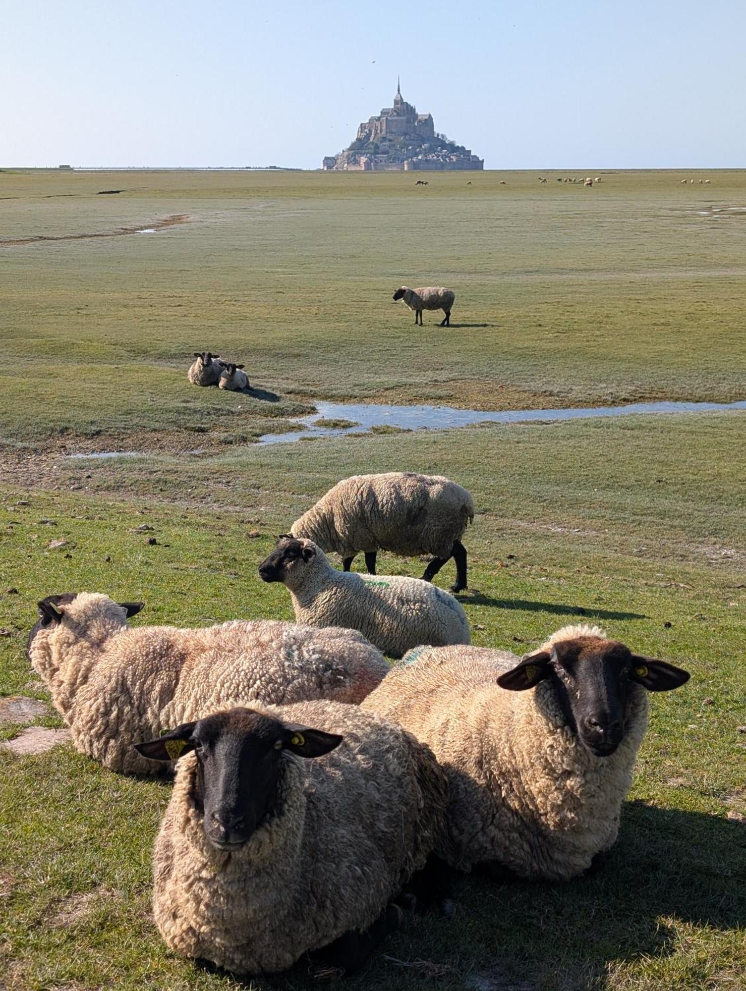 לינה וארוחת בוקר Huisnes-sur-Mer A L Ombre Du Mont Saint Michel מראה חיצוני תמונה